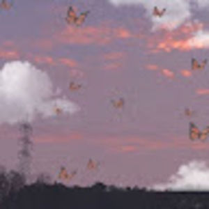 Meet your Posher, Mariah